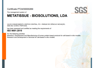 Iso Certification